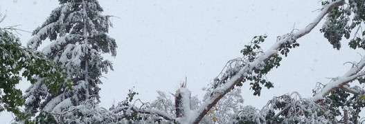 Schnee, Kälte und Stromausfall lähmen das Spruce Meadows Masters von Calgary 2014
