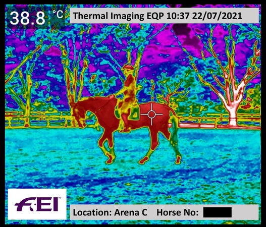 Wärmebild eines Pferdes an den Olympischen Spielen von Tokyo 2020 | © FEI