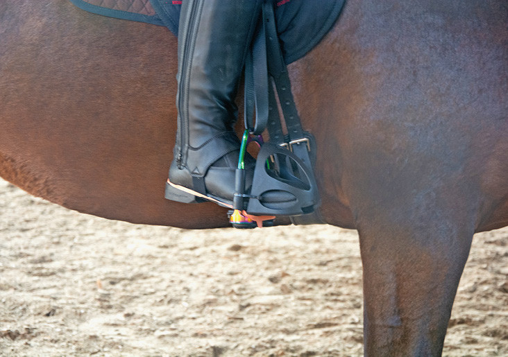 Ramona Zollinger est autorisée à utiliser des étriers fermés dotés d’un élastique fixant le pied en guise d’aide auxiliaire. | © FSSE/Cornelia Heimgartner