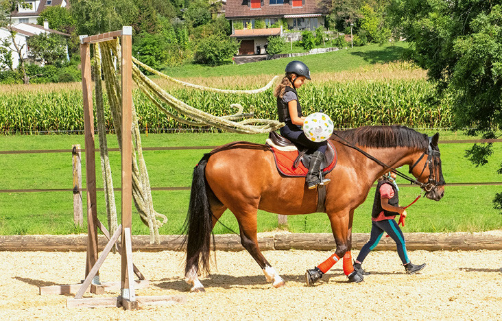 Le sport des enfants exige des chevaux confiants et une bonne coopération de toutes les parties concernées. | © Carole Streich