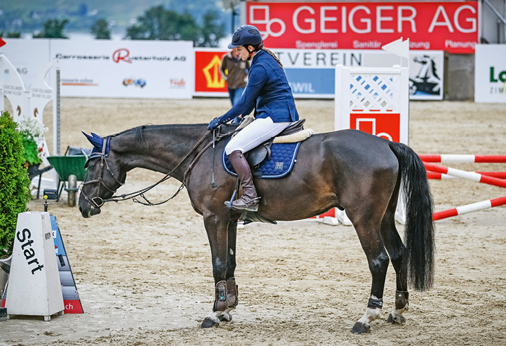 Bei den Jungpferdeprüfungen darf man sich auch mal Zeit nehmen, um dem Pferd ein Hindernis zu zeigen. | © Katja Stuppia