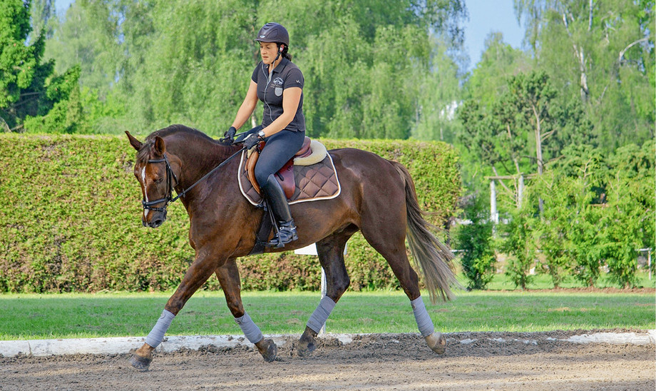 Medizinische Trainingstherapie: Sobald das Pferd vom Boden aus genügend muskuläre Stabilität erlangt hat, kann die Arbeit unter dem Sattel sukzessive gesteigert werden. (Foto: Ch. Hofmeister)
