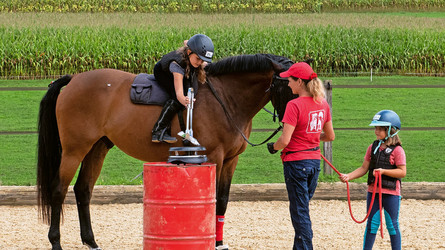 Kinder im Pferdesport: Die Trainer tragen viel Verantwortung