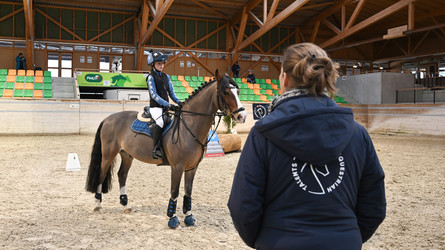 Swiss Equestrian Talents Scouting Day : une journée placée sous le signe de la relève
