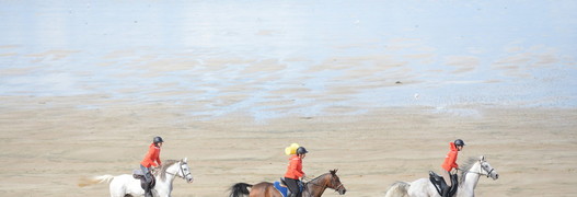 WEG Normandie - Ab ans Meer, zusammen mit unseren Endurance-Reiterinnen