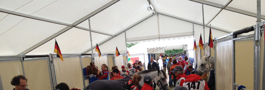 JEM Normandie - Endurance: tous les chevaux suisses ont bien passé la visite vétérinaire