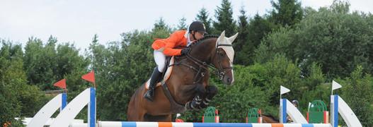 Studie über die Swiss-Breed-Classic-Springen 2008: 7 Prozent der Pferde schafften es in die Kategorie 140 bis 145 cm