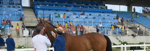 Rio 2016 – Tous les chevaux de saut sont déclarés «Fit to compete»