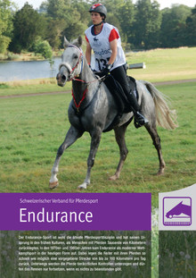 „Endurance“ – Portrait der Disziplin Endurance