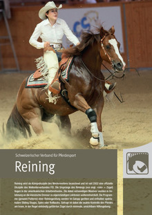 „Reining“ – Portrait der Disziplin Reining