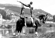 1978 findet in St. Moritz das erste grosse internationale Voltigier-Anlass, die erste WM folgt 1986 in Bulle. Die Schweizer Voltigierer bringen ab diesem Zeitpunkt unzählige Championatsmedaillen sowohl in den Einzel- wie auch Teamwettbewerben nach Hause. (Bild: Roland von Siebenthal / SVPS. 
