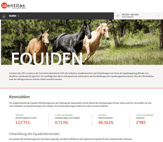 Screenshot der Website von Identitas