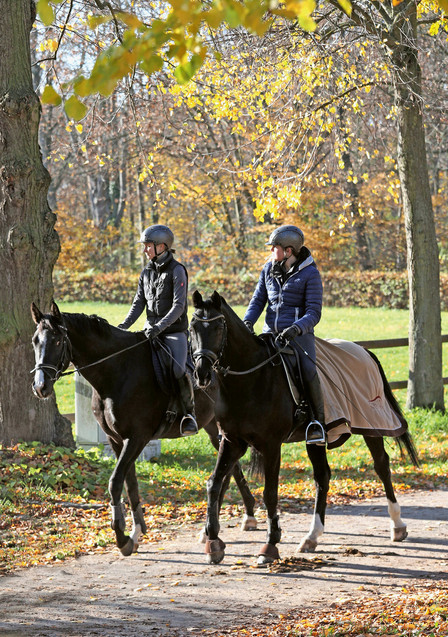 Les demi-pensions pour les promenades sont populaires et souvent, le propriétaire du cheval demande une assurance complémentaire «Cavaliers montant des chevaux de tiers». (Photo: Imago)