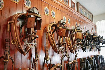 Collection de harnachements et de chars et chariots au CEN de Berne | © CEN Berne