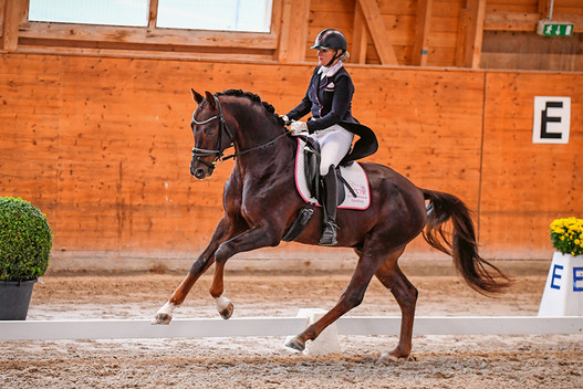 Bretton Leaf KWG CH, monté par Corinne Sélébam Alt, a prouvé son talent dans les épreuves pour jeunes chevaux et s'est qualifié pour les Champoinnats du monde de Dressage des jeunes chevaux par biais des épreuves S an 2019. (© Katja Stuppia)