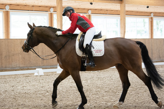 «Positive Judging» – so gehen Reiter:in und Pferd mit einem guten Gefühl aus der Reitbahn. Im Bild: Andrina Suter mit dem 7-jährigen Briatore. | © SVPS/C. Heimgartner
