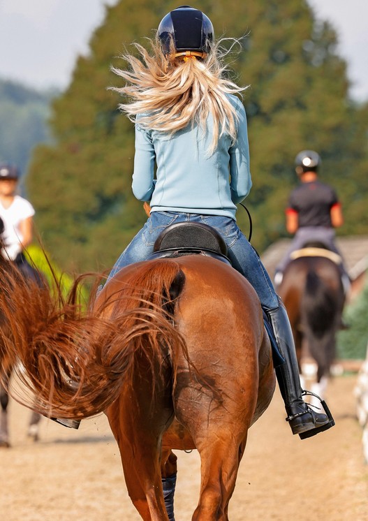 Schlägt das Pferd einmal mit dem Schweif, ist das sicher unproblematisch. Wird das Verhalten jedoch zum Dauerthema - insbesondere unter dem Reiter - müssen Trainer und Pferdebesitzer genauer hinschauen. | © imago