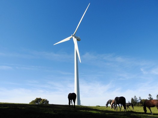 Herning2022, la FEI et la FSSE soutiennent, avec d'autres fédérations équestres nationales, un projet de parc éolien en Turquie. | © imago