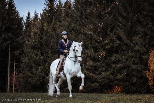 Ein faszial fittes Pferd kann auch hohe Lektionen mit Leichtigkeit ausführen. Im Bild: Anja Beran mit dem 19-jährigen P.R.E.-Hengst Ofendido. | © Maresa Mader