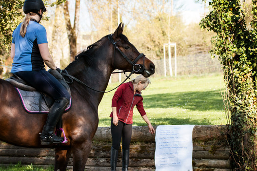 Différentes méthodes d’enseignement sont intégrées dans la leçon d’équitation. | © Desirée Kolb