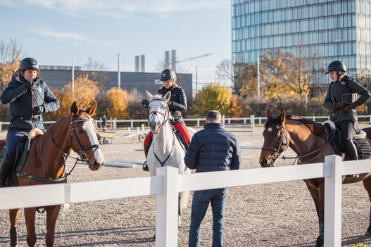 Dans le module « Enseignement », les participants profitent d’échanges intensifs entre eux ainsi qu’avec de nombreux spécialistes. | © OrTra métiers liés au cheval/Saskia Hadorn