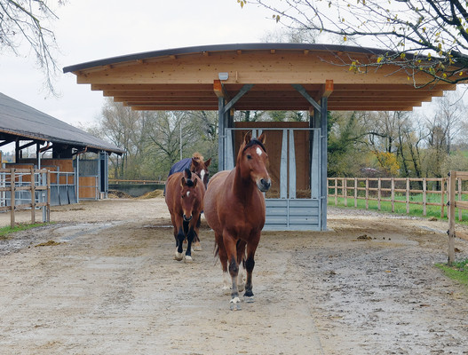 La conception d’écuries actives offre un grand confort aux chevaux. 