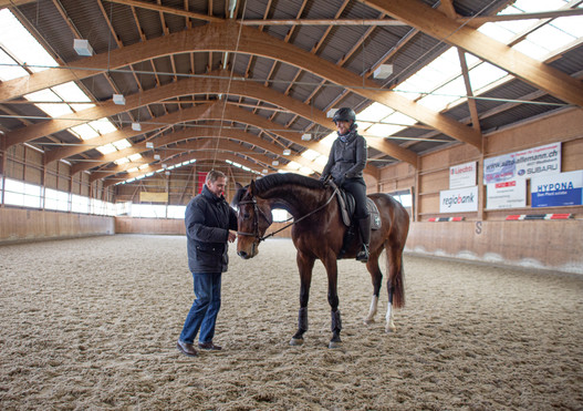 Die angehenden Expertinnen der Pferdebranche werden während des Lehrgangs regelmässig von Fachspezialisten der Branche individuell bei ihren Projekten betreut. © Nora Jeker