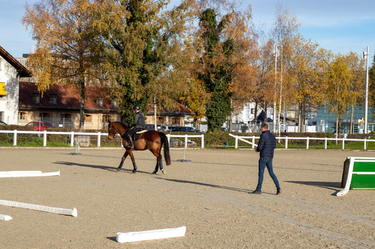 Die eigene Sportkarriere wie auch das Betreuen und Begleiten von Schülerinnen und Schülern sind Teil des Lehrgangs zur Expertin der Pferdebranche. © Nicole Basieux