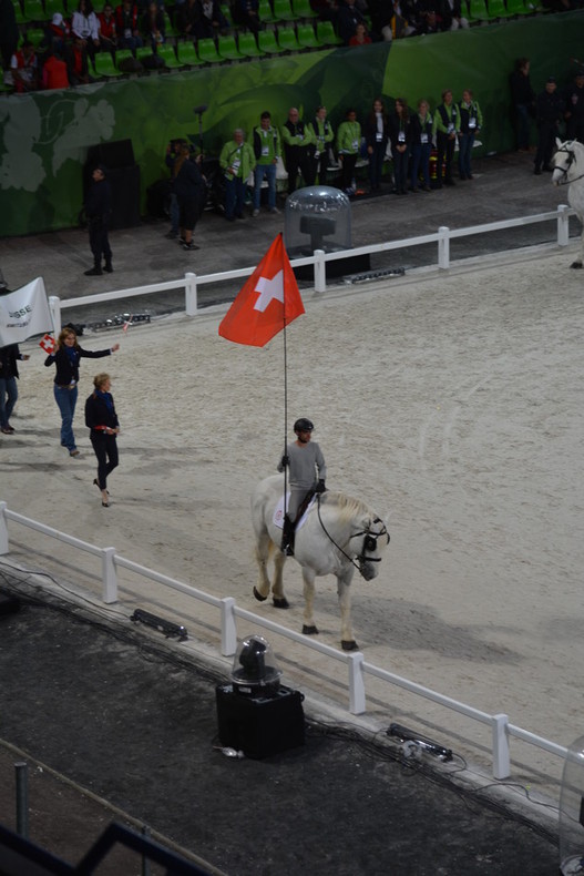 Devant la délégation Suisse, un cheval au sang froid présentait le drapeau Suisse.