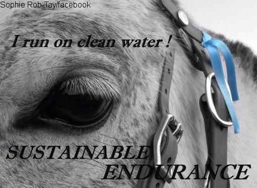 Weltweite Kampagne: Mit einem hellblauen Bändchen am Zaum sollen Pferdesportler aller Disziplinen auf der ganzen Welt für sauberen Sport einstehen.
