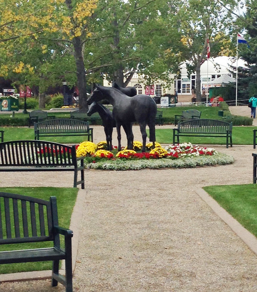 Einblick in den Horse-Park