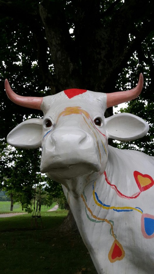 La vache Elsa de la maison à Radolfzell.