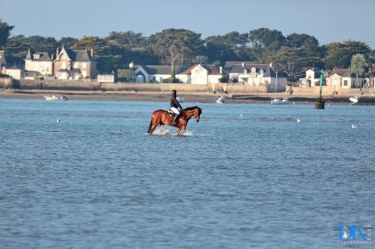 À La Baule, les cavaliers peuvent profiter d’une ballade sur la plage et dans la mer (photo: ©dk-prod.fr)
