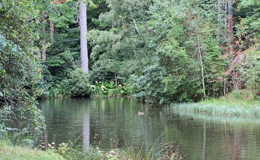 La nature à l’état pur dans le parc Sottsskogen qui accueille un grand nombre d’espèces animales.