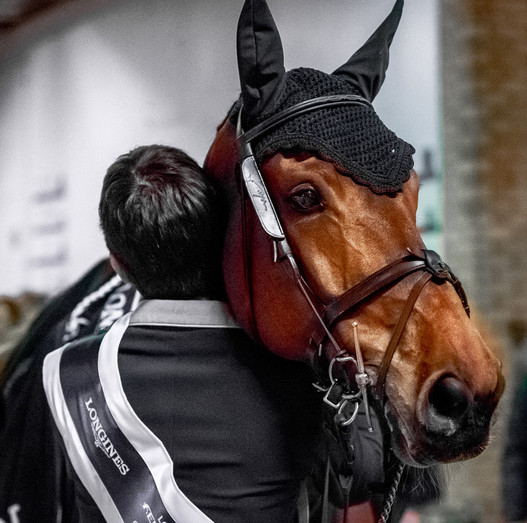Finalsieg 2016 in Göteborg: Der Dank von Steve Guerdat geht an sein Pferd Corbinian!