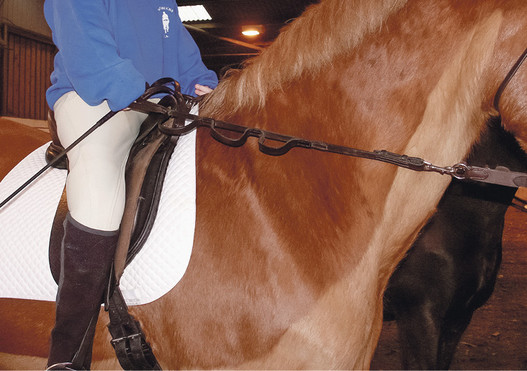 La cavalière Para-Equestrian Dressage peut utiliser des aides auxiliaires, p. ex. des rênes adaptées.