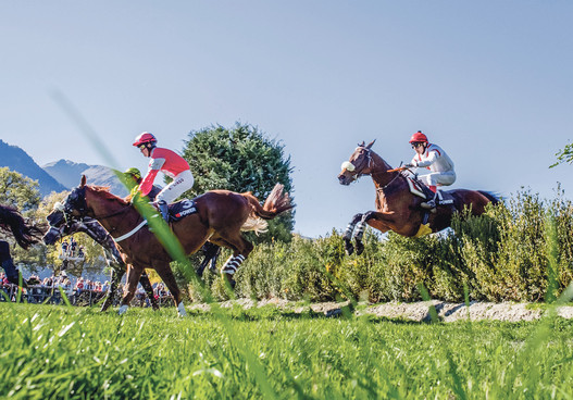 Tous les chevaux de l’entraîneuse de Dielsdorf sont d’excellents sauteurs. Sur la photo Blingless (à droite) à Maienfeld.