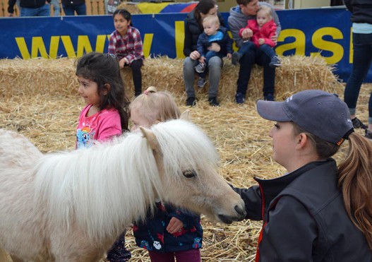 Für viele Kinder war der Besuch im Ponygehege der erste direkte Kontakt mit Pferden überhaupt.