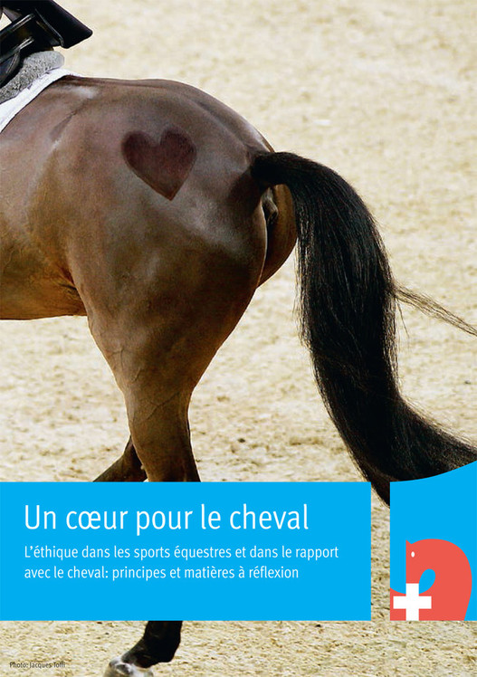 Un coeur pour le cheval