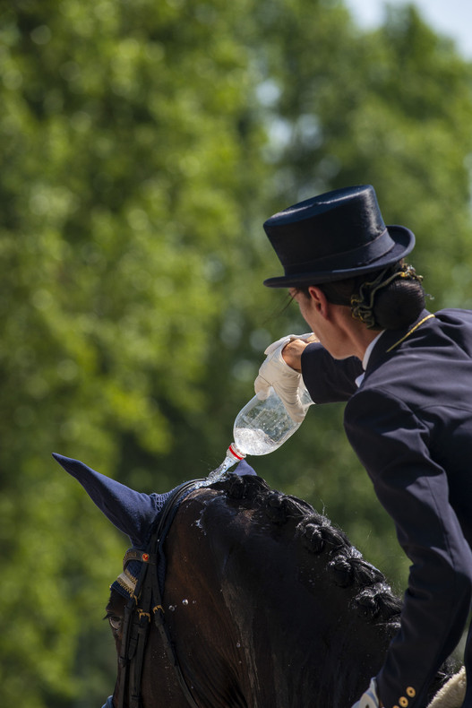 An heissen, trockenen Sommertagen empfiehlt es sich, die Pferde auch am Turnier kurz vor dem Start nochmals mit Wasser übergiessen, um sie zu kühlen. Foto: Andrea Heimgartner