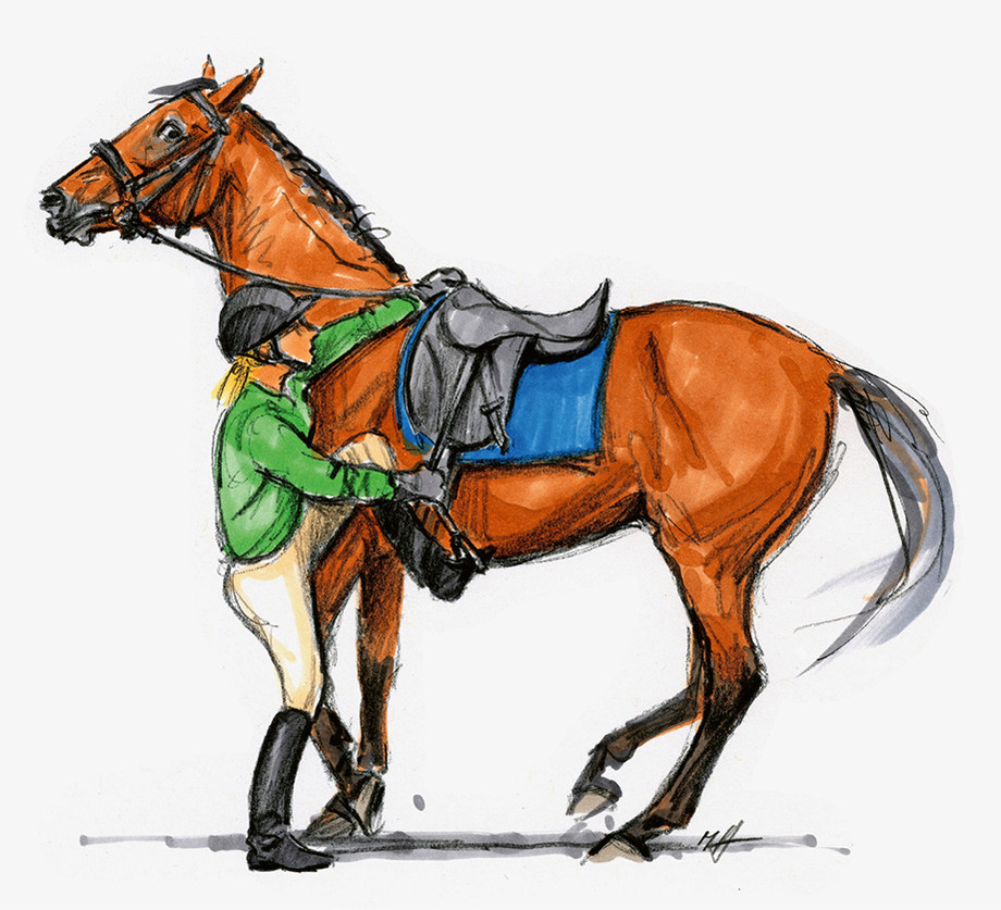 Un cheval qui ne reste pas immobile lorsque l’humain met le pied à l’étrier peut éventuellement souffrir d’une selle qui lui est inconfortable ou qui provoque des douleurs. (Illustration: Matthias Haab)
