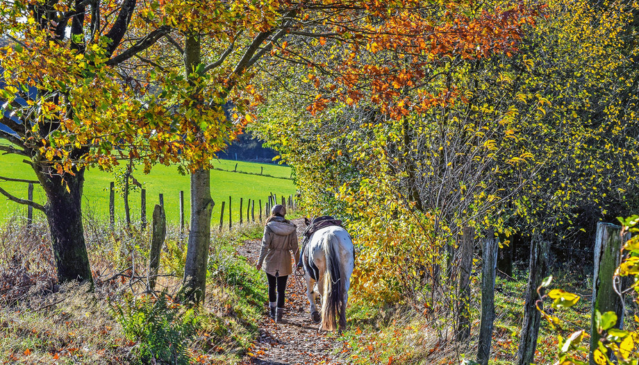 Les amis des chevaux aiment passer du temps dans la nature et devraient la préserver. (Photo: Pixabay)