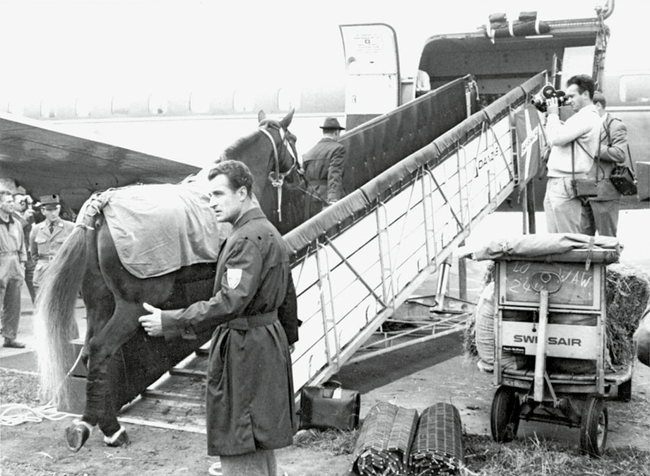 Voilà comment les chevaux ont été chargés pour voyager à Tokyo en avion en 1964. (Photo: Alban Poudret)
