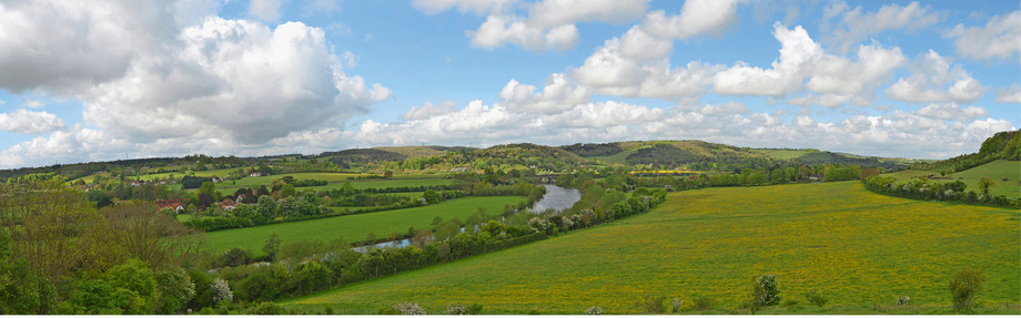 L’Oxfordshire, ce sont beaucoup d’espaces verts et un horizon quasiment infini. Un paysage idéal pour un business hippique. (Photo: Imago/Nature Picture Library)