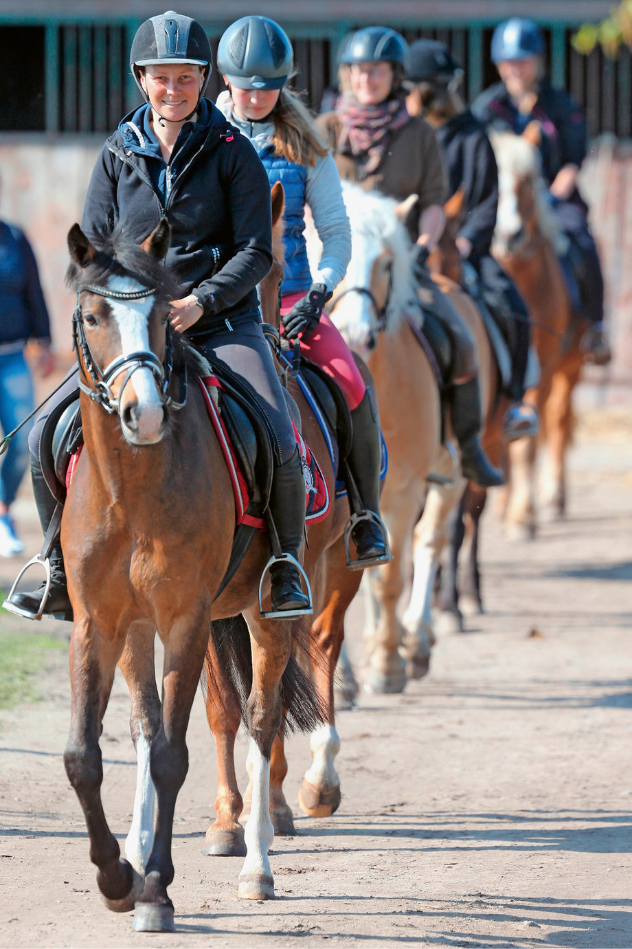 Nul besoin d’être cavalier de Saut pour enseigner les bases de l’équitation aux jeunes. (Photo: IMAGO / Frank Sorge)