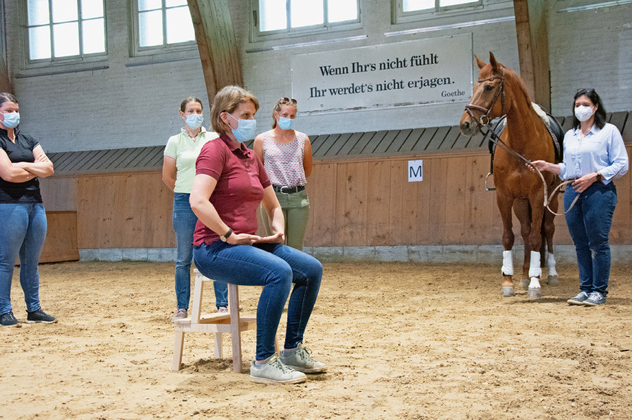 Bei einer ganzheitlichen Sitzanalyse darf das Pferd mit seinen eigenen Asymmetrien nicht aussen vor gelassen werden. (Foto: SVPS/Cornelia Heimgartner)