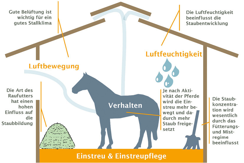 Einflussfaktoren auf die Ammoniakbildung im Pferdestall.