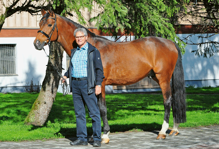 Werner Rütimann avec Karondo vom Schlösslihof CH, ancien champion du monde d’élevage et étalon de sport de haut niveau, dont il était le naisseur. | © màd