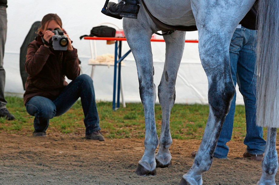 Anhand von Wärmebildkameras kann am Turnier geprüft werden, ob die Pferdebeine mittels chemischer Substanzen überempfindlich gemacht wurden.  |  imago