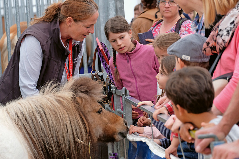 Mit den Ponys auf Tuchfühlung an der Sonderschau «Kinder ans Pferd», einem Gemeinschaftsprojekt vom SVPS, dem NPZ Bern, dem SNG und dem ZKV. | © NPZ/S. Wägeli